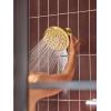 imageMoen Verso EcoPerformance Infiniti Dial Square Rain Shower Head 6Inch Diameter Spray Head Matte Black 220R4EPBLBrushed Gold
