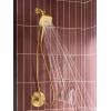 imageMoen Verso Infiniti Dial Square Handheld Shower 5Inch Diameter Spray Head Chrome 220H5Brushed Gold