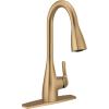 imageMoen Kiran Chrome OneHandle High Arc Pulldown Kitchen Faucet with Power Clean 87599Bronzed Gold