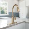 imageMoen Meena One Handle Kitchen Faucet with Pull Down Sprayer High Arc Kitchen Sink Faucet Featuring Reflex System and Duralock Quick Connect Spot Resist Stainless 87270SRSBronzed Gold