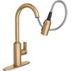 imageMoen Meena One Handle Kitchen Faucet with Pull Down Sprayer High Arc Kitchen Sink Faucet Featuring Reflex System and Duralock Quick Connect Spot Resist Stainless 87270SRSBronzed Gold