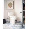 imageMoen Moen White 2Series Standard NonElectronic Bidet Seat for Elongated Seats EB500EBiscuit