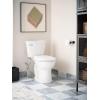 imageMoen Moen White 2Series Standard NonElectronic Bidet Seat for Elongated Seats EB500EWhite