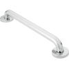imageMoen Bathroom Safety 18Inch Stainless Steel Shower Grab Bar with Concealed Screws for Handicapped or Elderly 8718Silver