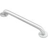 imageMoen Bathroom Safety 18Inch Stainless Steel Shower Grab Bar with Concealed Screws for Handicapped or Elderly 8718Silver