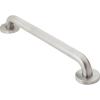 imageMoen Stainless Bathroom Safety 18Inch Shower Grab Bar with Concealed Screws for Elderly or Handicapped R8918Peened