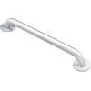 imageMoen Stainless Bathroom Safety 18Inch Shower Grab Bar with Concealed Screws for Elderly or Handicapped R8918Stainless