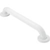 imageMoen Polished Brass Bathroom Safety 18Inch Shower Grab Bar with Concealed Screws for Handicapped or Elderly R8718PBGlacier
