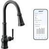 imageMoen Paterson Chrome Water Filtration OneHandle High Arc Pulldown Kitchen Faucet Water Filter for Sink Faucet Sold Separately FS72003Matte Black