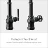 imageMoen Paterson Chrome Water Filtration OneHandle High Arc Pulldown Kitchen Faucet Water Filter for Sink Faucet Sold Separately FS72003Matte Black