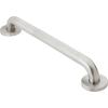 imageMoen Stainless Steel Bathroom Safety 32Inch Grab Bar with Concealed Screws and Slip Resistant Peened Texture R8732PStainless