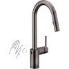 imageMoen Align Brushed Gold 3in1 Water Filtration PreRinse Spring Pull Down Kitchen Faucet Water Filter for Sink Faucet Sold Separately F5923BGBlack Stainless