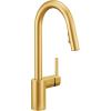 imageMoen Align Brushed Gold 3in1 Water Filtration PreRinse Spring Pull Down Kitchen Faucet Water Filter for Sink Faucet Sold Separately F5923BGBrushed Gold