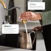 imageMoen Align Brushed Gold 3in1 Water Filtration PreRinse Spring Pull Down Kitchen Faucet Water Filter for Sink Faucet Sold Separately F5923BGBrushed Gold