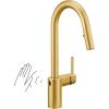 imageMoen Align Brushed Gold 3in1 Water Filtration PreRinse Spring Pull Down Kitchen Faucet Water Filter for Sink Faucet Sold Separately F5923BGBrushed Gold