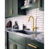 imageMoen Align Brushed Gold 3in1 Water Filtration PreRinse Spring Pull Down Kitchen Faucet Water Filter for Sink Faucet Sold Separately F5923BGBrushed Gold