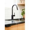 imageMoen Align Brushed Gold 3in1 Water Filtration PreRinse Spring Pull Down Kitchen Faucet Water Filter for Sink Faucet Sold Separately F5923BGMatte Black