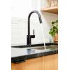 imageMoen Align Brushed Gold 3in1 Water Filtration PreRinse Spring Pull Down Kitchen Faucet Water Filter for Sink Faucet Sold Separately F5923BGMatte Black