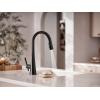 imageMoen Kurv Chrome 3in1 Water Filtration Pull Down Kitchen Faucet Water Filter for Sink Faucet Sold Separately F9126Matte Black