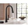imageMoen Kurv Chrome 3in1 Water Filtration Pull Down Kitchen Faucet Water Filter for Sink Faucet Sold Separately F9126Matte Black