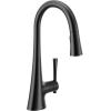 imageMoen Kurv Chrome 3in1 Water Filtration Pull Down Kitchen Faucet Water Filter for Sink Faucet Sold Separately F9126Matte Black