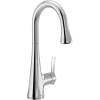 imageMoen Sinema Chrome 3in1 Water Filtration OneHandle Pulldown Kitchen Faucet FS7235 with Moen F9800 Advanced Carbon Water Filtration SystemChrome
