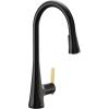 imageMoen Sinema Chrome 3in1 Water Filtration OneHandle Pulldown Kitchen Faucet FS7235 with Moen F9800 Advanced Carbon Water Filtration SystemMatte Black