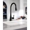 imageMoen Sinema Chrome 3in1 Water Filtration OneHandle Pulldown Kitchen Faucet FS7235 with Moen F9800 Advanced Carbon Water Filtration SystemMatte Black