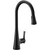 imageMoen Sinema Chrome 3in1 Water Filtration OneHandle Pulldown Kitchen Faucet FS7235 with Moen F9800 Advanced Carbon Water Filtration SystemMatte Black