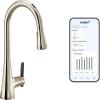 imageMoen Sinema Chrome 3in1 Water Filtration OneHandle Pulldown Kitchen Faucet FS7235 with Moen F9800 Advanced Carbon Water Filtration SystemPolished Nickel