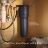 imageMoen Sinema Chrome 3in1 Water Filtration OneHandle Pulldown Kitchen Faucet FS7235 with Moen F9800 Advanced Carbon Water Filtration SystemPolished Nickel