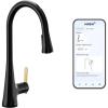 imageMoen Sinema Chrome 3in1 Water Filtration OneHandle Pulldown Kitchen Faucet FS7235 with Moen F9800 Advanced Carbon Water Filtration SystemMatte Black
