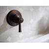 imageMoen WT681ORB Dartmoor Single Handle Wall Mount Filler High Flow Tub Faucet with 10quot Spout Reach Oil Rubbed BronzeBrushed Nickel
