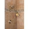 imageMoen 6345EPBG Collection EcoPerformance 8Inch Fixed Rainshower Showerhead 175 GPM Brushed GoldBrushed Nickel
