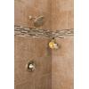imageMoen 6345EPBG Collection EcoPerformance 8Inch Fixed Rainshower Showerhead 175 GPM Brushed GoldBrushed Nickel
