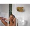 imageMoen S112BG Waterhill 10Inch Single Function Rainshower Showerhead with Immersion Rainshower Technology Brushed Gold