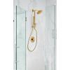 imageMoen S176BG Collection 7Inch Single Function Shower Head with Immersion Rainshower Technology Brushed Gold