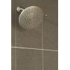 imageMoen Velocity Brushed Nickel TwoFunction Rainshower 8Inch Shower Head with Immersion Technology for a HighPressure Rinse S6320BNBrushed Gold