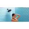 imageMoen Velocity Brushed Nickel TwoFunction Rainshower 8Inch Shower Head with Immersion Technology for a HighPressure Rinse S6320BNOil Rubbed Bronze
