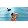 imageMoen Velocity Brushed Nickel TwoFunction Rainshower 8Inch Shower Head with Immersion Technology for a HighPressure Rinse S6320BNOil Rubbed Bronze