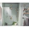 imageMoen Waterhill Oil Rubbed Bronze 10Inch Single Function Rainshower Showerhead with Immersion Rainshower Technology S112ORBBrushed Nickel