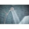 imageMoen 209H0 Ignite Handheld Shower Chrome