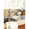 imageMoen Renzo Spot Resist Stainless OneHandle Pullout Kitchen or Laundry Faucet Featuring Power Clean CA87316SRS