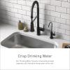 imageMoen Sip Spot Resist Stainless Traditional Drinking Water Beverage Faucet with Optional Filtration System F7600SRS