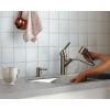 imageMoen Sombra Spot Resist Stainless SingleHandle PullOut Sprayer Kitchen Faucet with Soap Dispenser and Power Clean 87701SRS