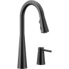 imageMoen 7871BL Sleek OneHandle High Arc Kitchen Faucet with InDeck Handle Matte BlackMatte Black