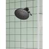 imageMoen S6320BL Showering Acc  Premium TwoFunction 8quot Diameter Spray Head Rainshower Matte Black