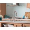 imageMoen Iso Brushed Nickel 086quot Diameter Brass Modern Drawer Knob DN0705BN