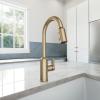 imageMoen Meena One Handle Kitchen Faucet with Pull Down Sprayer High Arc Kitchen Sink Faucet Featuring Reflex System and Duralock Quick Connect Chrome 87270Bronzed Gold