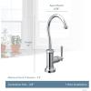 imageMoen S5540SRS Paterson Sip Industrial Cold Water Kitchen Beverage Faucet Optional Water Filtration System Available Sold Separately Spot Resist StainlessSpot Resist Stainless